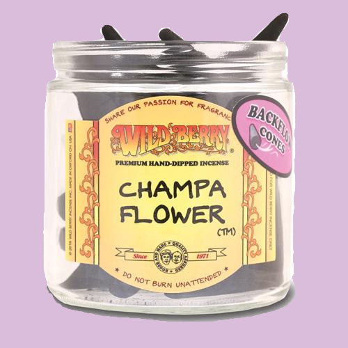 Champa Flower Backflow
